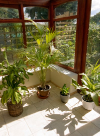 lean to conservatory costs